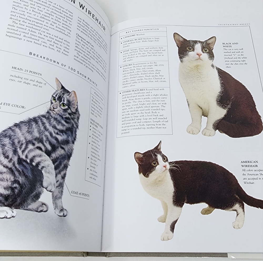 The Illustrated Encyclopedia of Cat‎ Breeds" by Angela Rixon - Picture 7 of 14